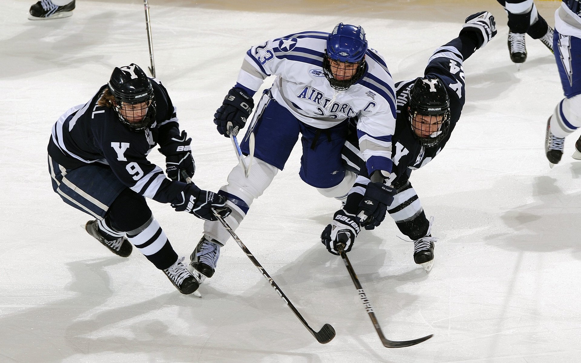 开云体育-“德甲最后关头，争冠形势变得扑朔迷离”，德甲最后一轮看点